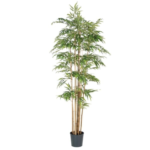 Bambus sztuczny Bremner 220 cm w czarnej doniczce
