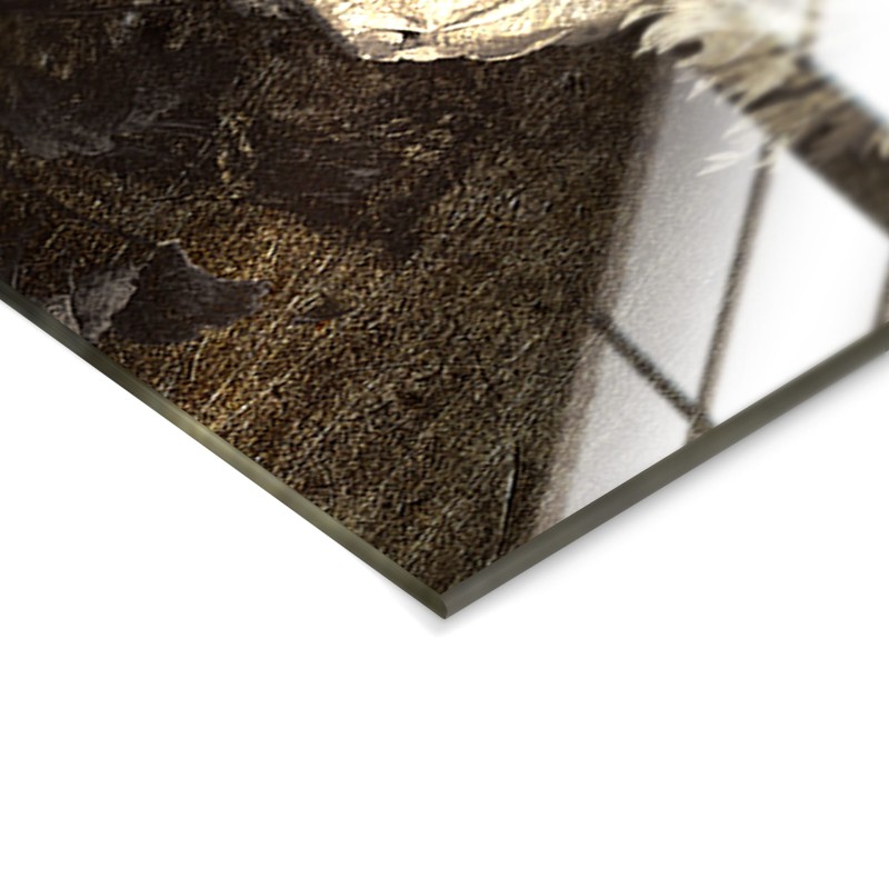 Obraz glasspik Lady obraz za szkłem 70x100 cm metaliczny efekt