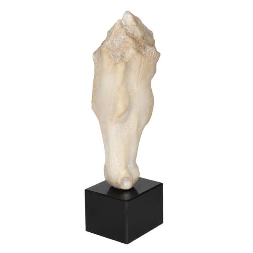 Kremowa rzeźba Horse 50 cm statua koń głowa konia rzeźba abstrakcja 