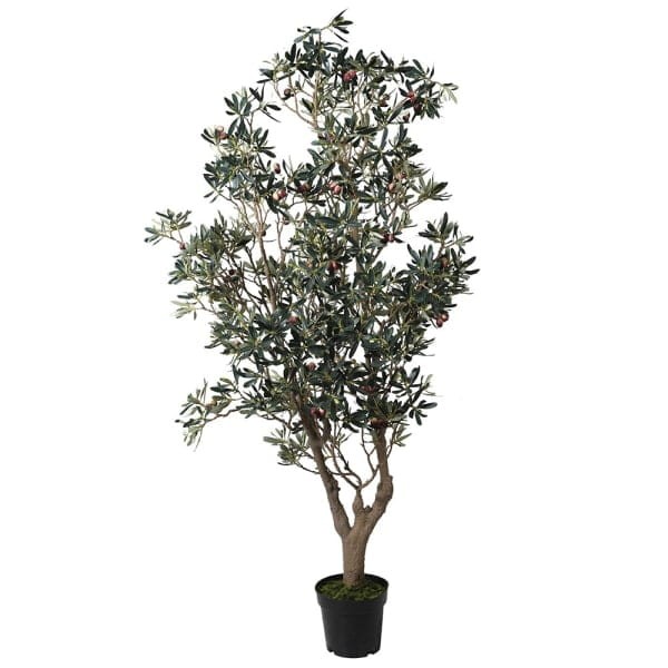 Drzewko oliwne sztuczne Chesham 154 cm drzewko Oliwka dekoracja zielona