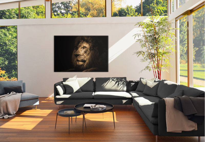 Obraz na szkle glasspik Lion 70x100 cm majestatyczny lew