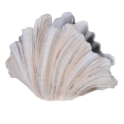Wazon Shell kremowy 55 cm - wazon muszla kremowa żywica