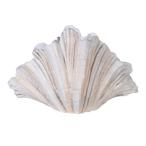 Wazon Shell kremowy 55 cm - wazon muszla kremowa żywica