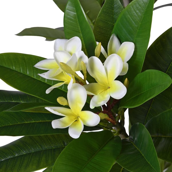 Sztuczne drzewko plumerii Frangipani 213 cm - na taras i do ogrodu