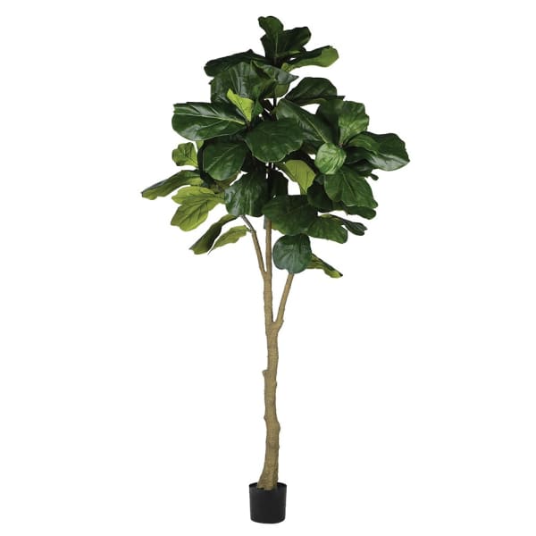 Sztuczne drzewko Fiddle figowca lirolistnego 243 cm - sztuczna roślina w doniczce do salonu