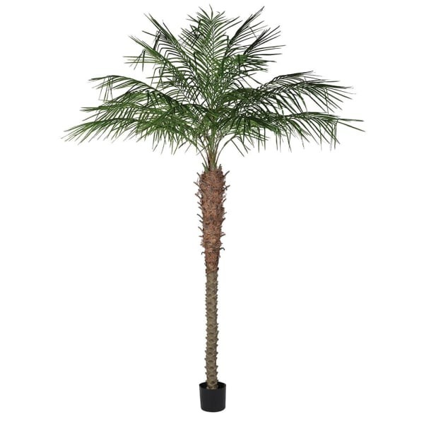 Sztuczna palma Coconut 262 cm z rozłożystą zieloną koroną