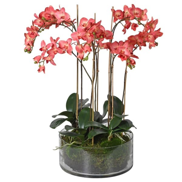 Sztuczny storczyk Queen Dark Pink 78 cm w szklanej doniczce