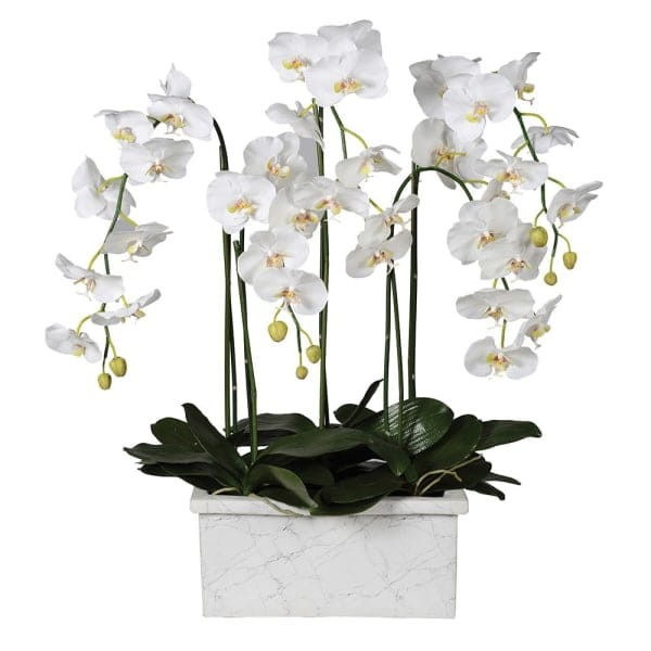 Storczyk White Marble 100 cm marmurowa biała doniczka białe kwiaty orchidea